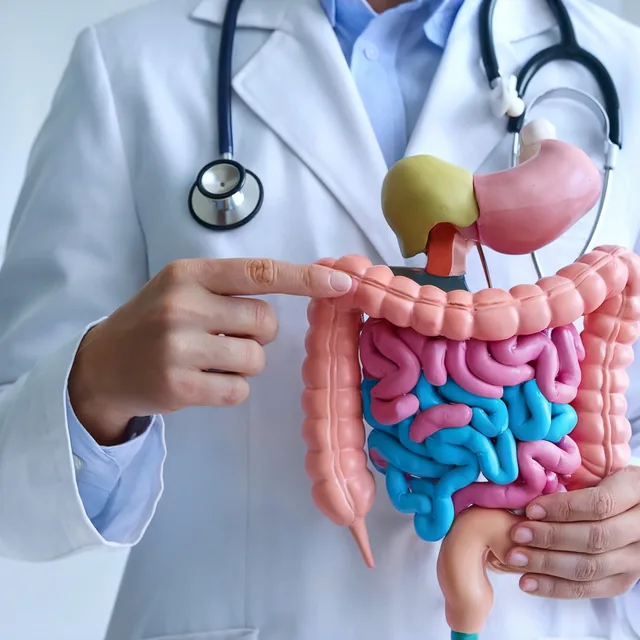 Gastroenterology